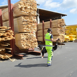 Rettungshundestaffel Fotoshooting Weißenstadt